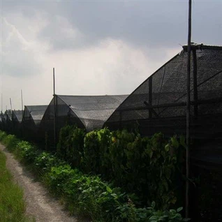 Pret UV HDPE zaļš saules aizsargtīkls