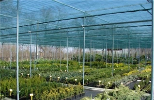 HDpe saules aizsargtīkls